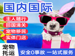 忻州五台山机场托运国际宠物托运 【国